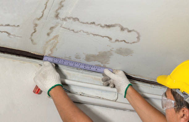 Reliable Burst Pipe Cleanup contractor in Bucyrus, KS by Water Damage Irwin
